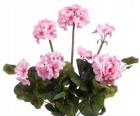 PELARGONIA J. RÓŻ RABATOWA STOJĄCA KWIATY SZTUCZNE 46CM