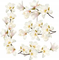 Наклейки на стену мебель белые цветы Магнолия 50x100cm K6