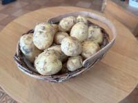 Ziemniaki - Lilly 15kg