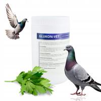 GLUKON VET szybka regeneracja przed i po wysiłku 500g