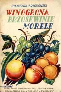 S. Brzozowski; Winogrona, brzoskwinie, morele 1936