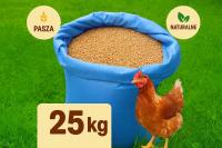 Polska pszenica ziarno 25 kg zbiór 2025 karma dla zwierząt-drobiu, gołębi