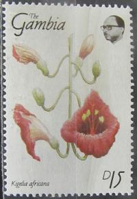 Gambia stary znaczek (6/11