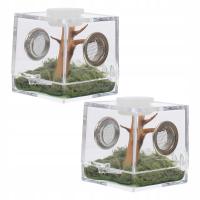 2 ZESTAW PUDEŁKA SIEDLISKOWEGO PAJĄKA MAŁE PUDEŁKO HODOWLANE DLA ZWIERZĄT SKACZĄCY PAJĄK