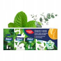 Бархатные салфетки мяты эвкалипта 4 слоя 10x10pcs удобные носимые