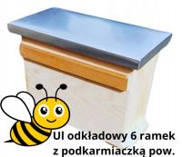Ul odkładowy wielkopolski 6 ramek odkładówka z podkarmiaczką powałkową