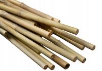 TYCZKA BAMBUSOWA - BAMBUS PODPORA DO ROŚLIN KWIATÓW 120cm (8mm) - 10 SZTUK