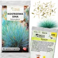 Kostrzewa Sina NASIONA srebrnoniebieska Festuca Glauca do ogrodu 100 Nasion