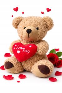 MIŚ PLUSZOWY LOVE YOU MASKOTKA PRZYTULANKA WALENTYNKI 5