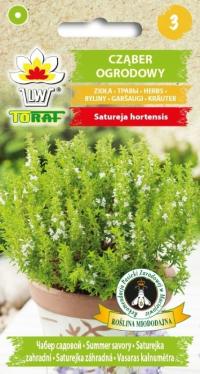 Cząber ogrodowy naturalne zioła 2g nasiona TORAF