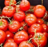 Farma Rohoznice Pomidory krzewowe 1 kg