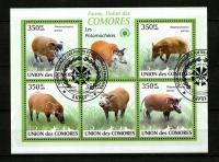 Komory znaczki pocztowe / Blok ( Fauna ) 2009 r.