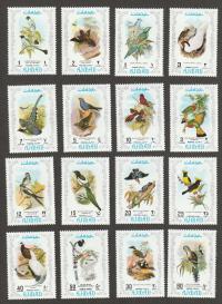 AJMAN - PTAKI - FAUNA - CZYSTE **