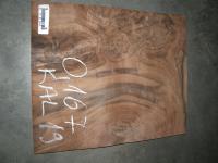 Fornir orzech kalifornijski paczka KAL19, powierzchnia 0,167m.kw. 1 liść