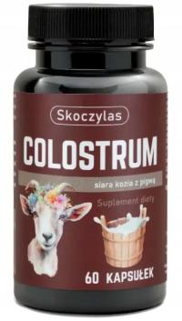 Skoczylas kolostrum COLOSTRUM KOZIE siara kozia z pigwą ODPORNOŚĆ