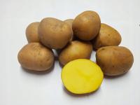 .ZIEMNIAK ZIEMNIAKI DENAR 5kg POLSKIEFRESH