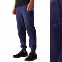 4F Мужские спортивные штаны 4fwmm00ttrom1139-32S многоцветный