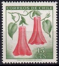 Chile M 642, flora