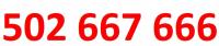 502 667 666 starter orange na kartę złoty numer