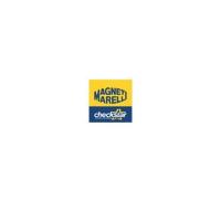Magneti Marelli 519700000194 Moduł pompy paliwa