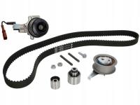 Schaeffler INA 530 0650 30 водяной насос комплект ремня ГРМ