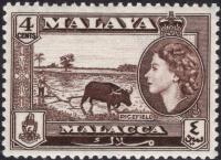 Malaya/Malacca QEII 4 c.czysty **