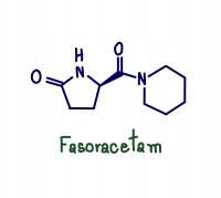 Fasoracetam 96,33 % BADANIA! Premium Quality! 1g