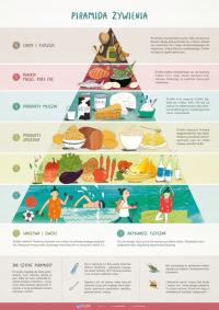 Образовательный плакат пирамида питания - 48 х 68 см