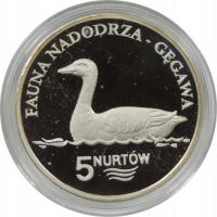 MONETA SREBRNA - MONETA Ag - MONETA ZASTĘPCZA - 5 NURTÓW - Ag925 -YA278