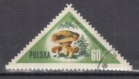 1959 Grzyby polskie Fi 951 Zn.W III4 gw.Korszeń