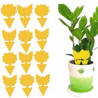 12X ЖЕЛТЫЙ ЦВЕТОЧНЫЙ ГОРШОК ЛИПУЧКА ЖЕЛТЫЙ ЛИПУЧКА ЗЕМЛЕРОЙНЫЕ НАСЕКОМЫЕ ПЛОДОВЫЕ БАБОЧКИ