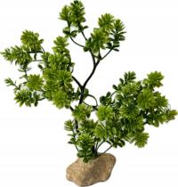 Растение для аквариума TERARIUM искусственное украшение украшение зеленый выс. 23 см