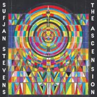 SUFJAN STEVENS: THE ASCENSION (2XWINYL)