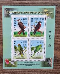 Fauna - Ptak - Honduras
