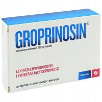 Гропринозин противовирусный препарат грипп простуда инозин 20x
