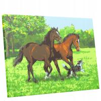 Картина по номерам картина холст рамка 50x40 лошади