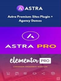 Плагин Astra Pro Elementor Pro Более 200 Демо-Сайтов Astra Premium
