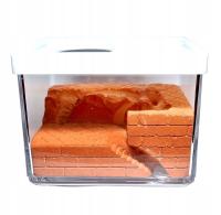 Формикарий гипсовый красный муравьиная разведение AntHunter