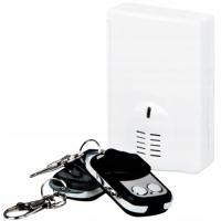 Ti - 982 комплект радиолинии двухканальный радиоприемник два пульта дистанционного управления YOTOGI