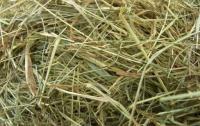 ПРИРОДНЫЕ СЕНО ДЛЯ ГРЫЗУНОВ И КРОЛИКОВ 5 кг