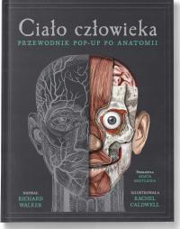 Человеческое тело всплывающее руководство по анатомии Ричард Уокер