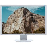 Monitor LED Eizo EV2416W 24 