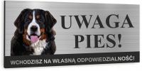 Табличка Внимание плохая собака бернский зенненхунд