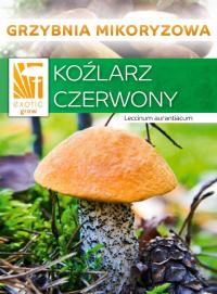 Красный козел лесные грибы мицелий микориза