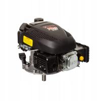 Двигатель внутреннего сгорания DEMON для газонокосилки DEMON 79CC