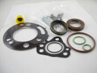 ZESTAW USZCZELEK CR DELPHI DFP6.1 PSA 2,0 TDCI;HDI