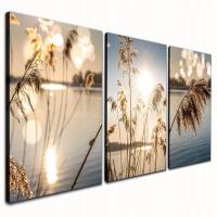 Картина для гостиной на стену растения природа бохо стиль 120x60 холст триптих