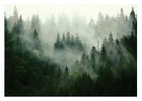 Фото обои лес в тумане деревья для спальни гостиной Обои для стен 368X254