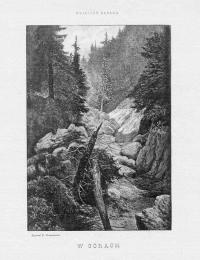 Wojciech Gerson: W górach, drzeworyt 1893 Tatry