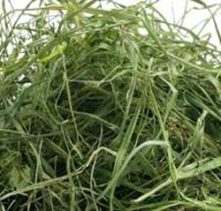 EKO SIANO 1KG WĘGROWSKIE, ŚWIEŻE SIANKO DLA ŚWINEK DOMOWYCH, SUPER JAKOŚĆ